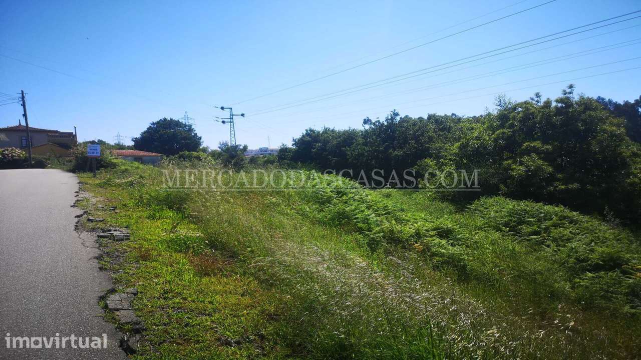 Terreno Misto 3760m2 São Paio de Oleiros - Grande imagem: 5/6