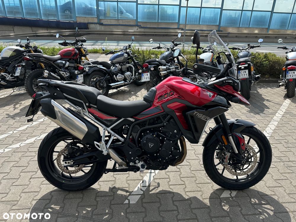 Triumph Tiger - 6