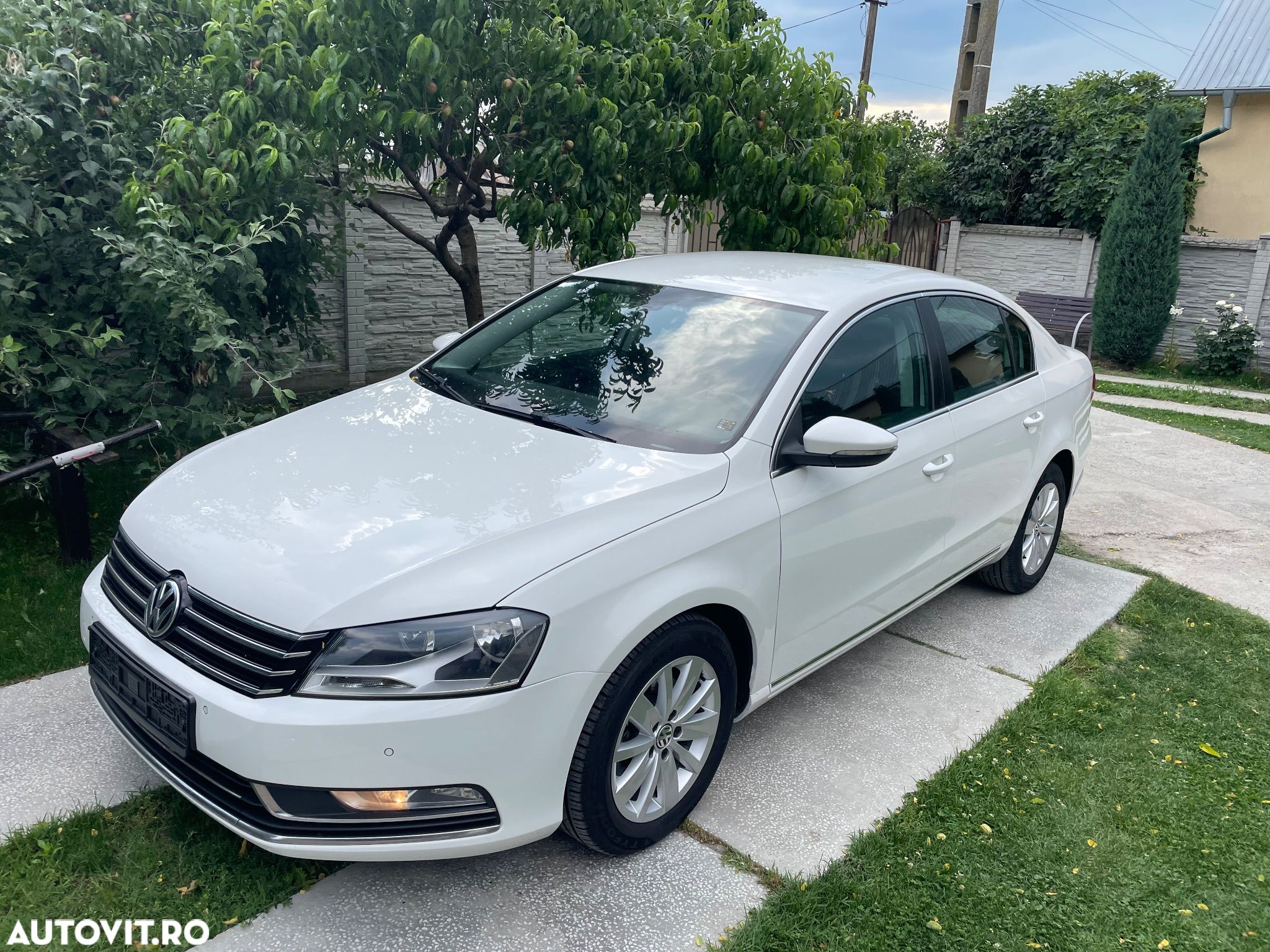 Volkswagen Passat - 1
