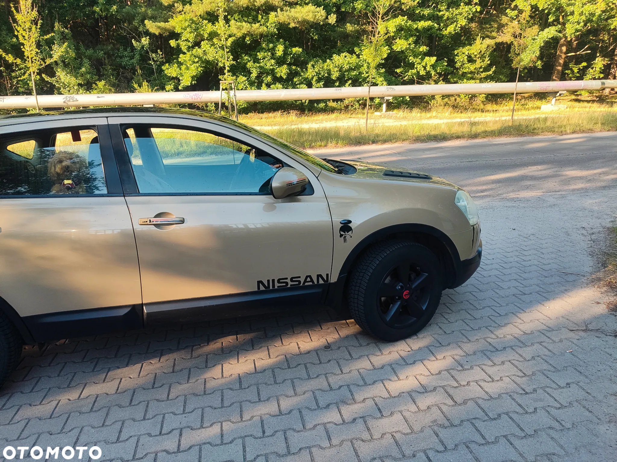 Nissan Qashqai 2.0 4x4 Acenta - 6