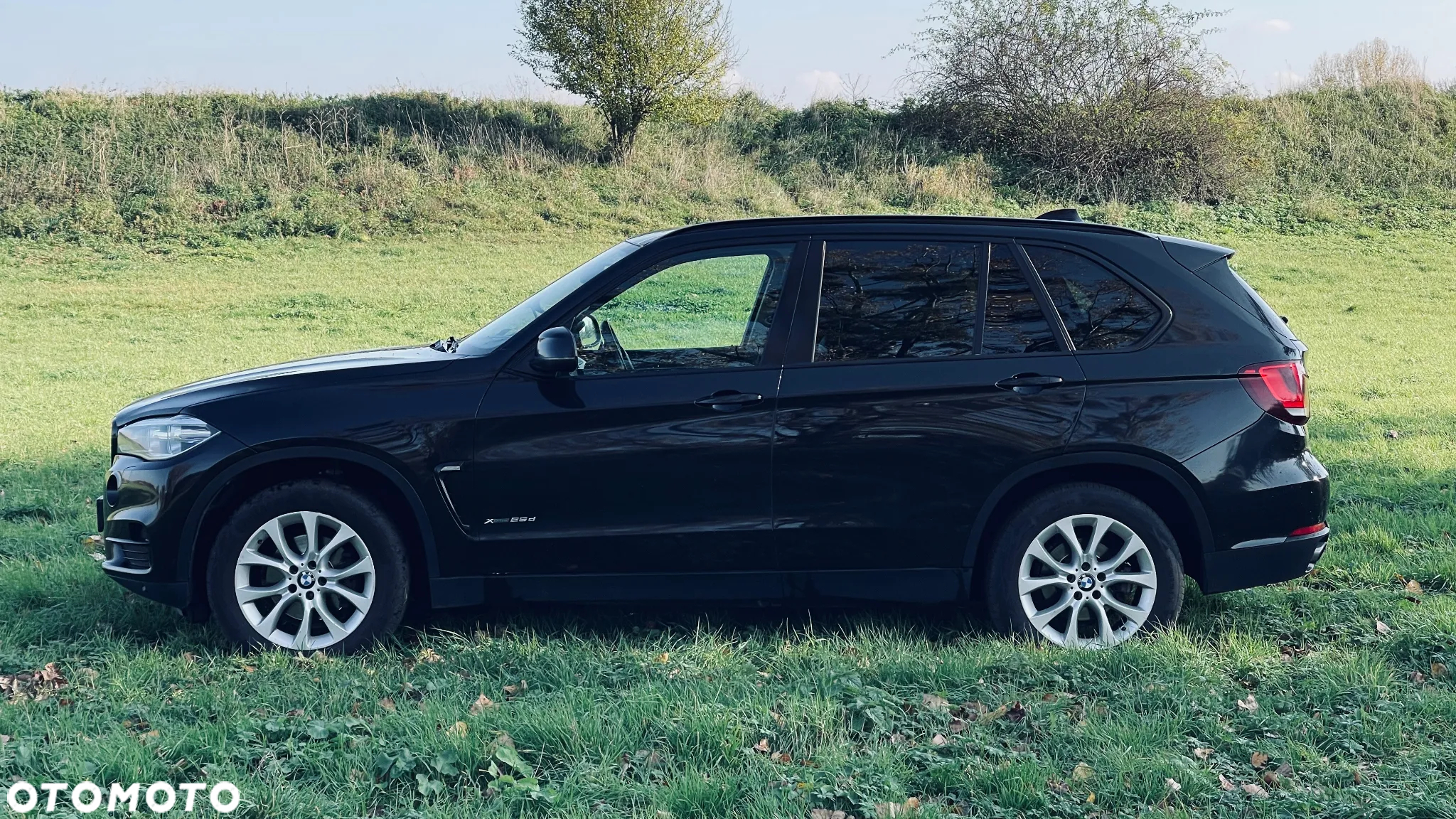 BMW X5 xDrive25d - 5