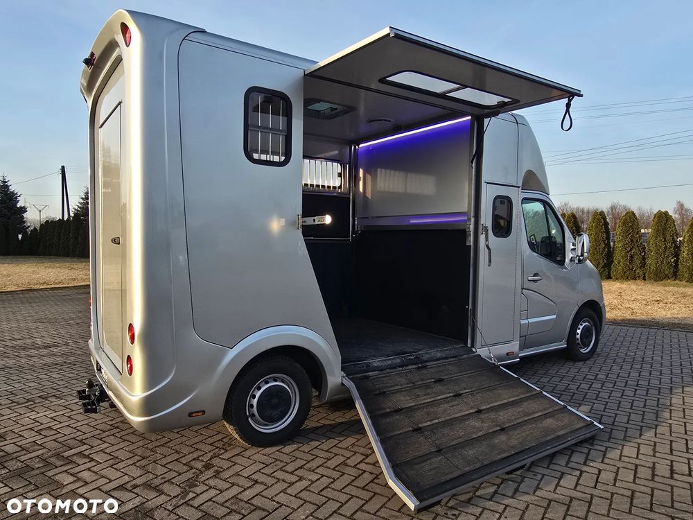 Opel Movano-Koniowóz - 10