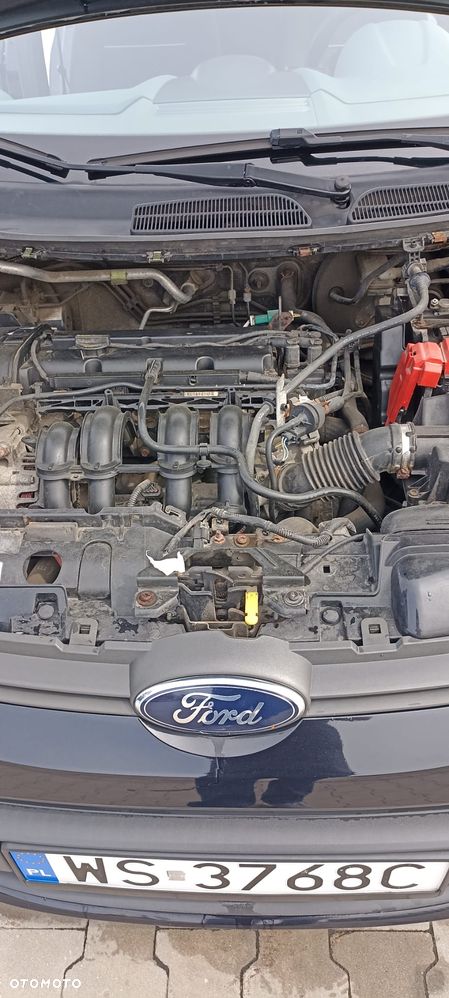 Ford Fiesta 1.25 Champions Edition - 16