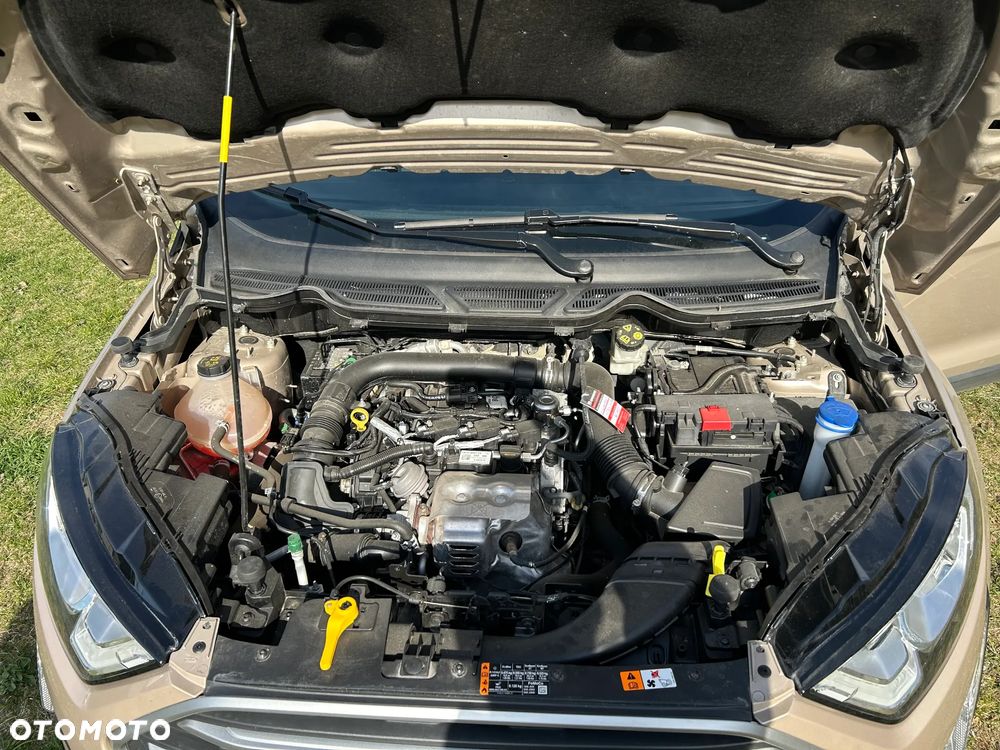 Ford EcoSport 1.0 EcoBoost GPF Navi Edition ASS - 7