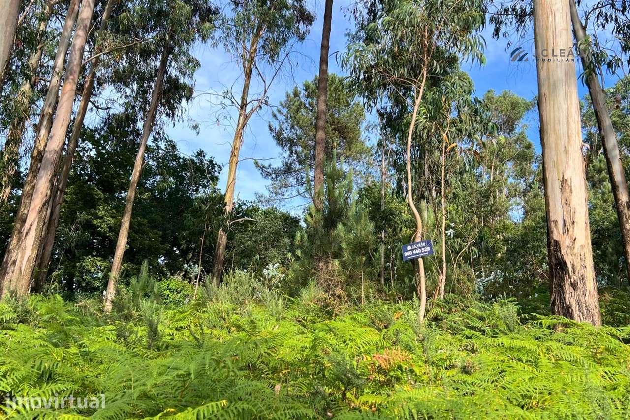Terreno Rústico com 4640m2 em Lamoso, Paços de Ferreira - Grande imagem: 5/13