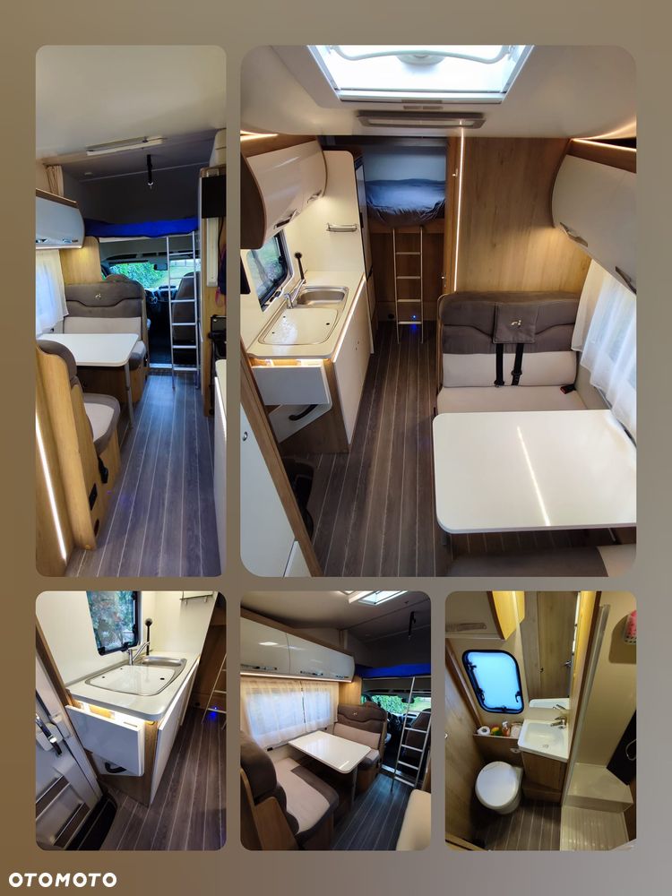 CI CI HORON 79M - 12