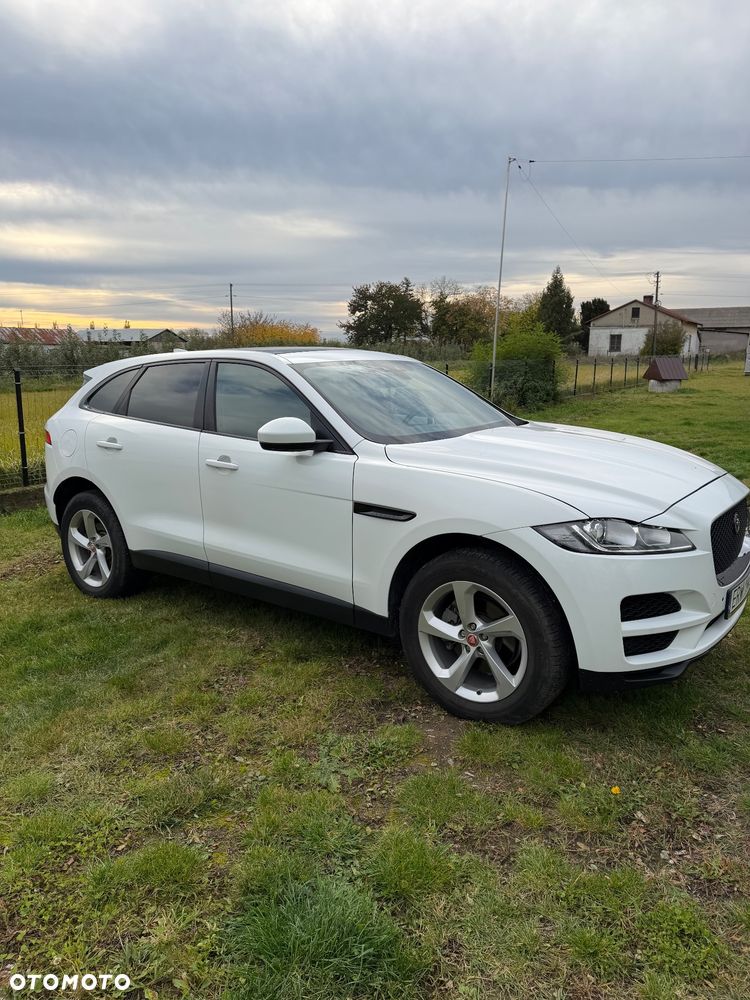 Jaguar F-Pace 2019 photo 3