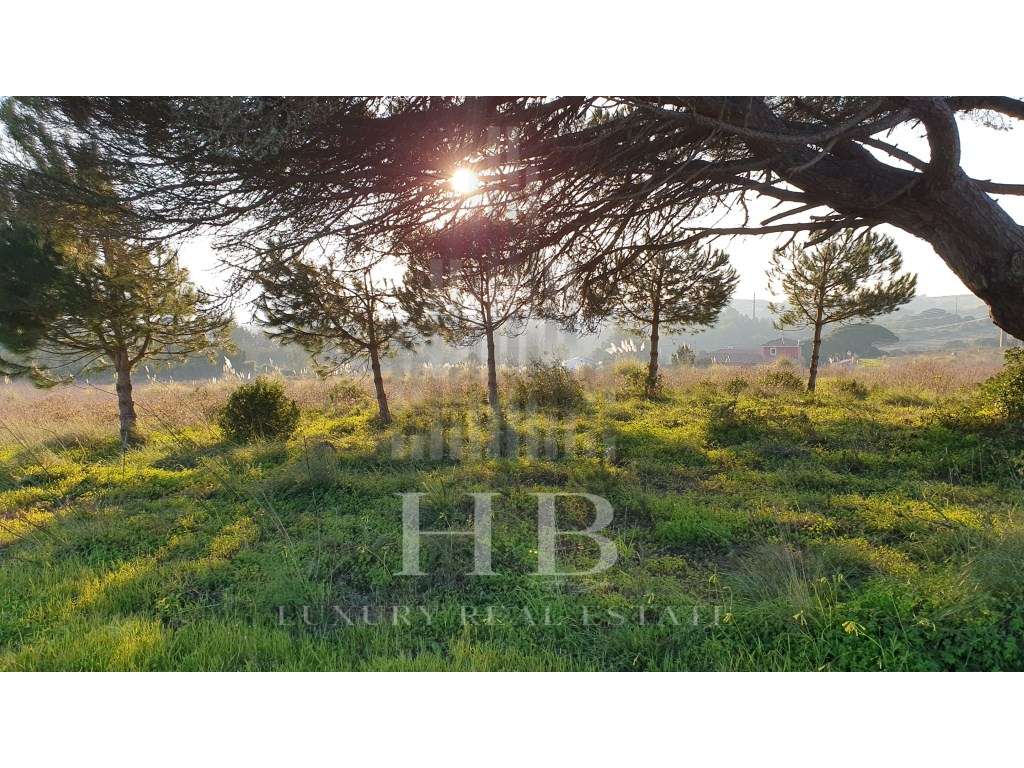 Lote Construção 5002M2| Casal da Granja |Sintra - Grande imagem: 4/45