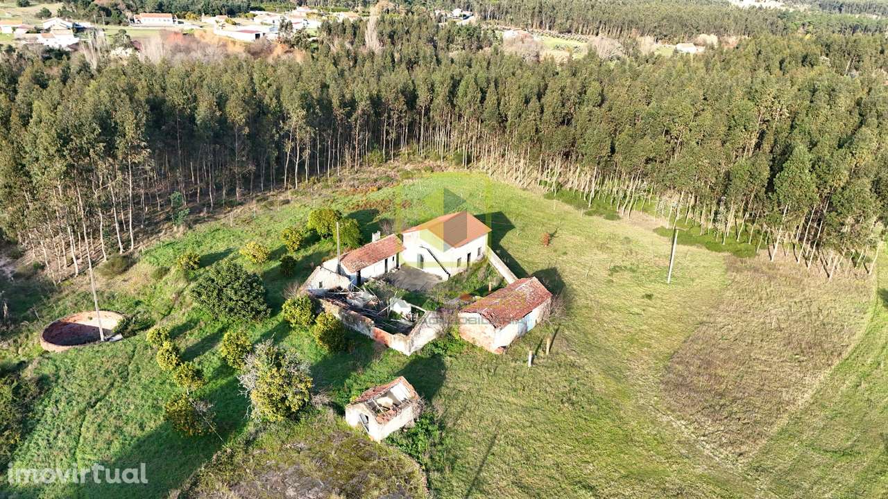 Quinta - Grande imagem: 4/33