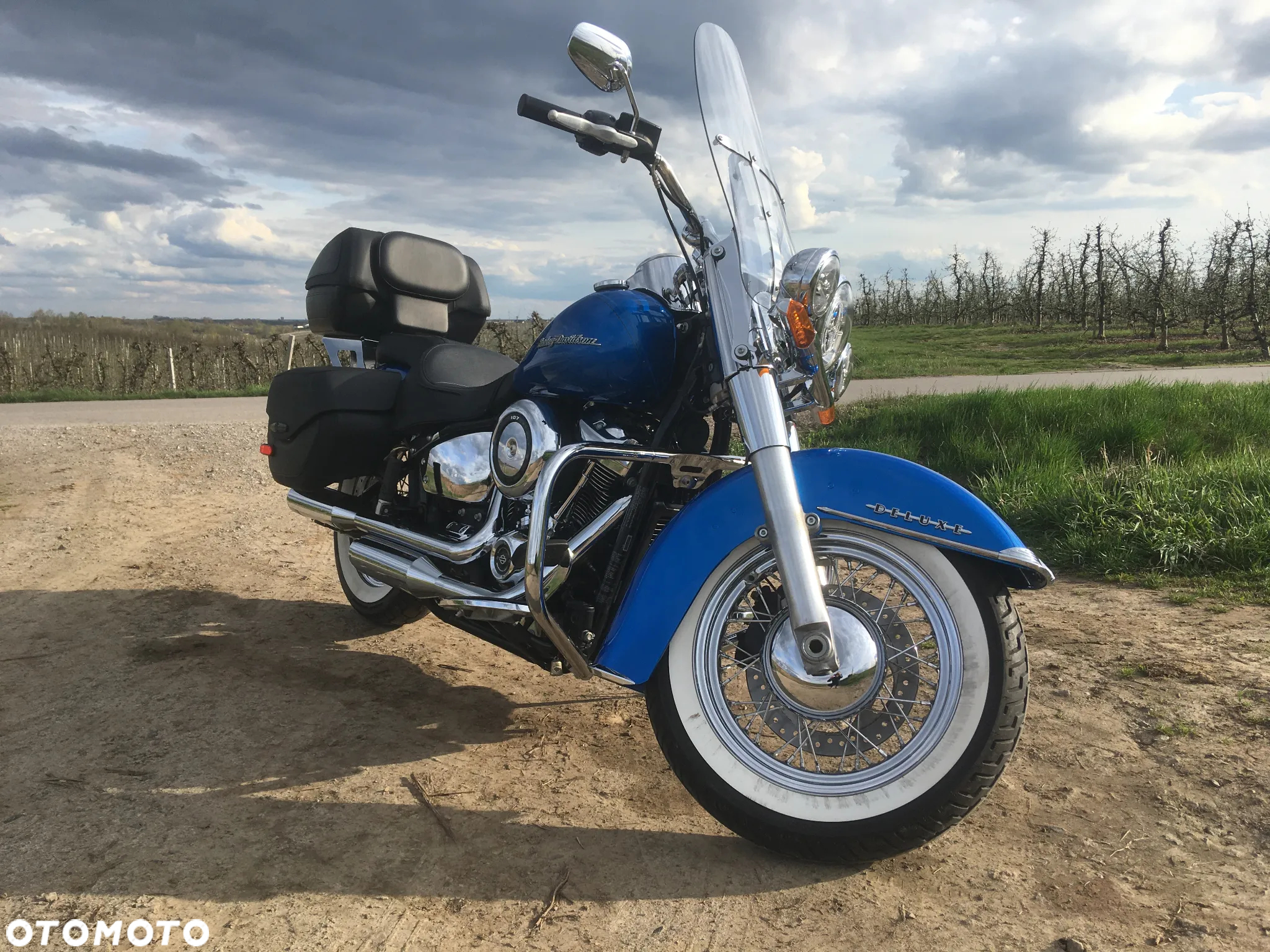 Harley-Davidson Softail Deluxe - 3