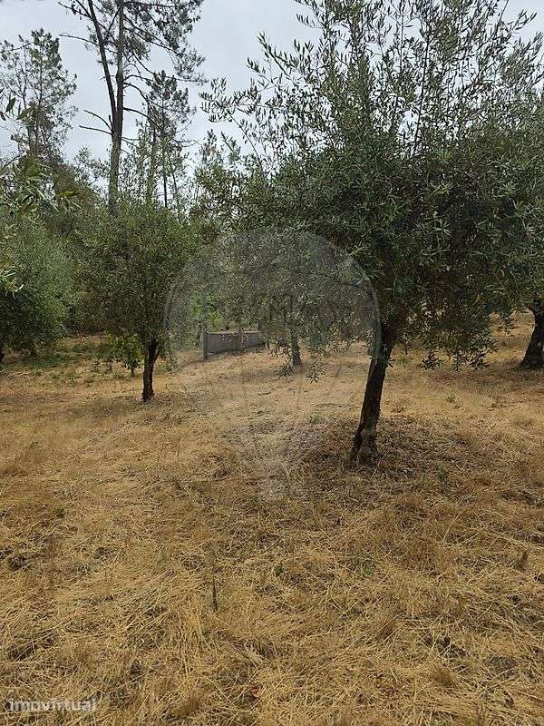 Terreno  para venda - Grande imagem: 3/6