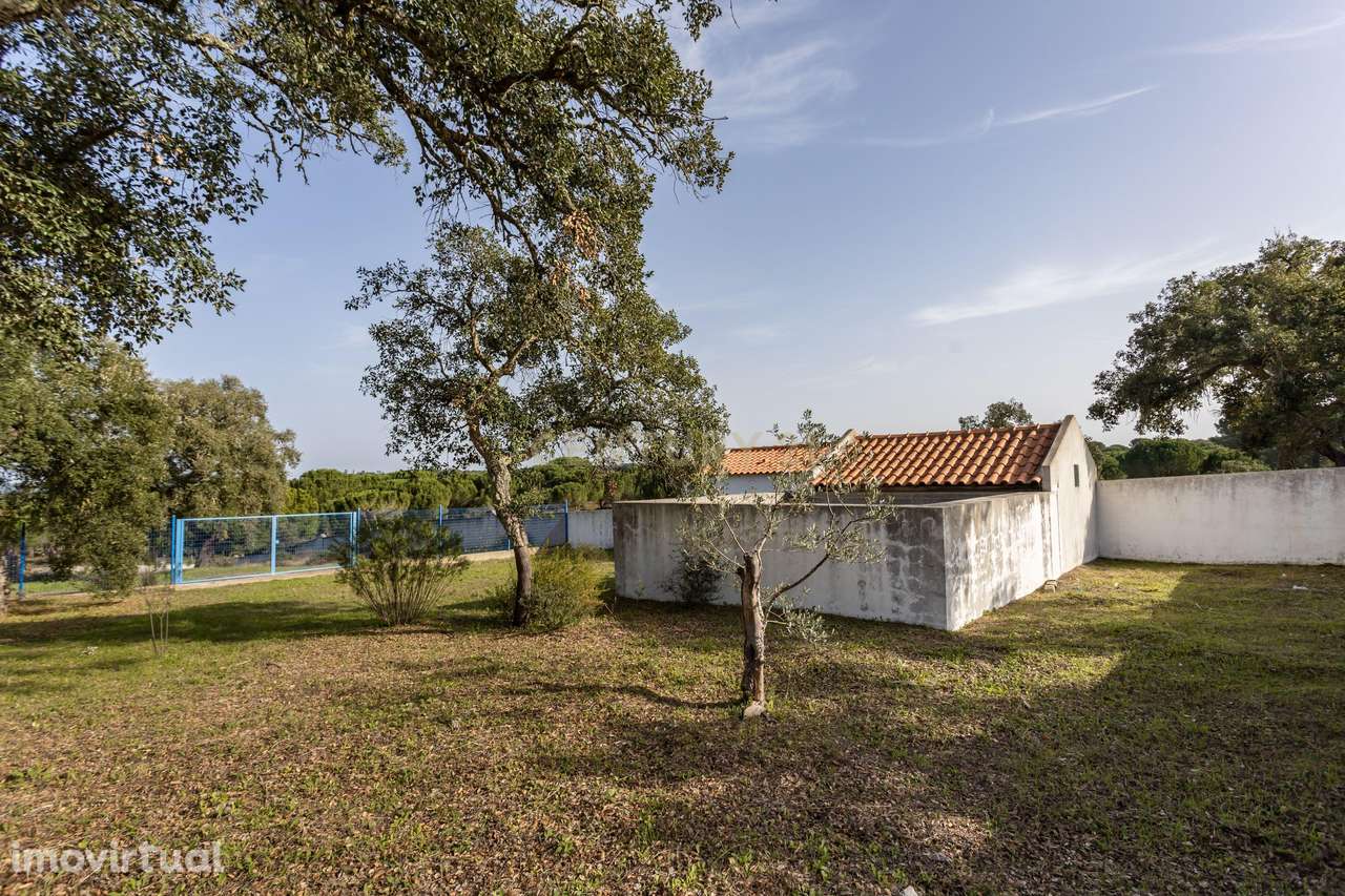 Moradia T4 em Herdade de 9,5 ha - Grande imagem: 5/60