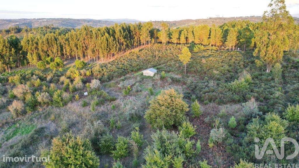 Terreno Agrícola em Paranhos - Grande imagem: 4/24