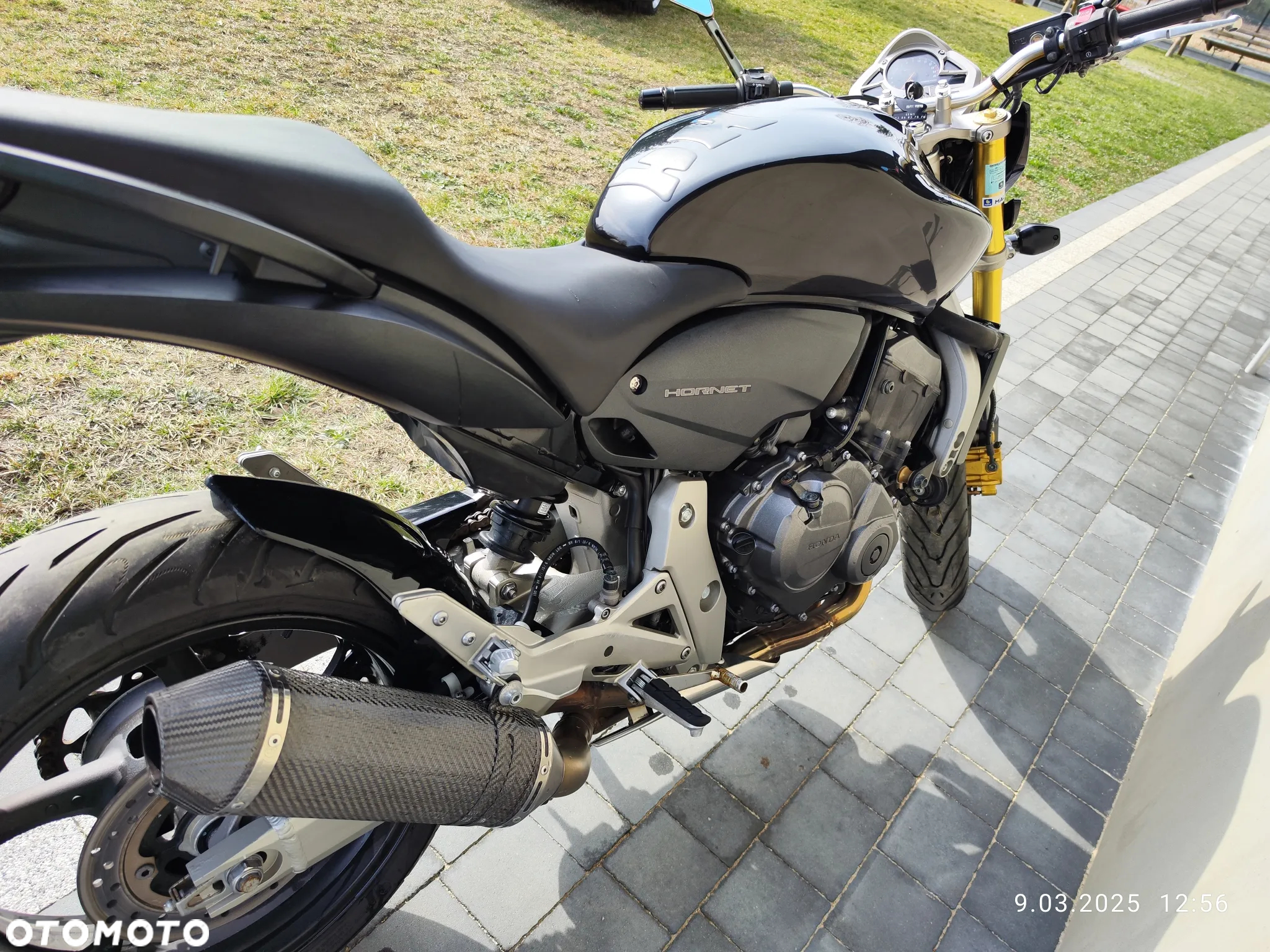Honda Hornet - 17
