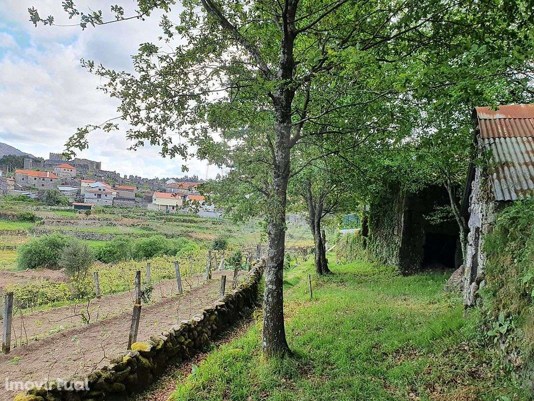 Terreno  para venda - Grande imagem: 3/29