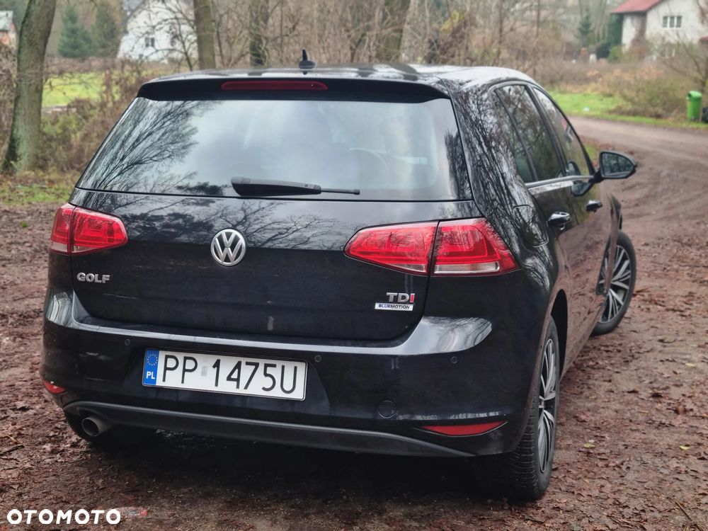 Volkswagen Golf 1.6 TDI BlueMotion Technology Allstar - 10