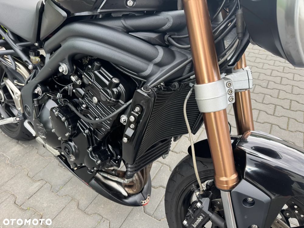 Triumph Speed Triple - 13