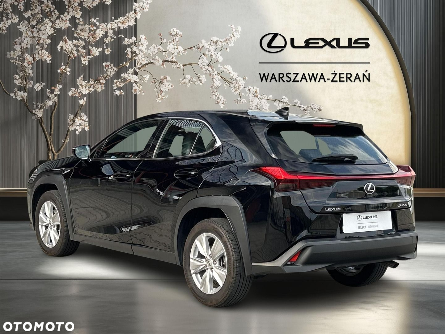 Lexus UX 200 GPF Pure 2WD - 5