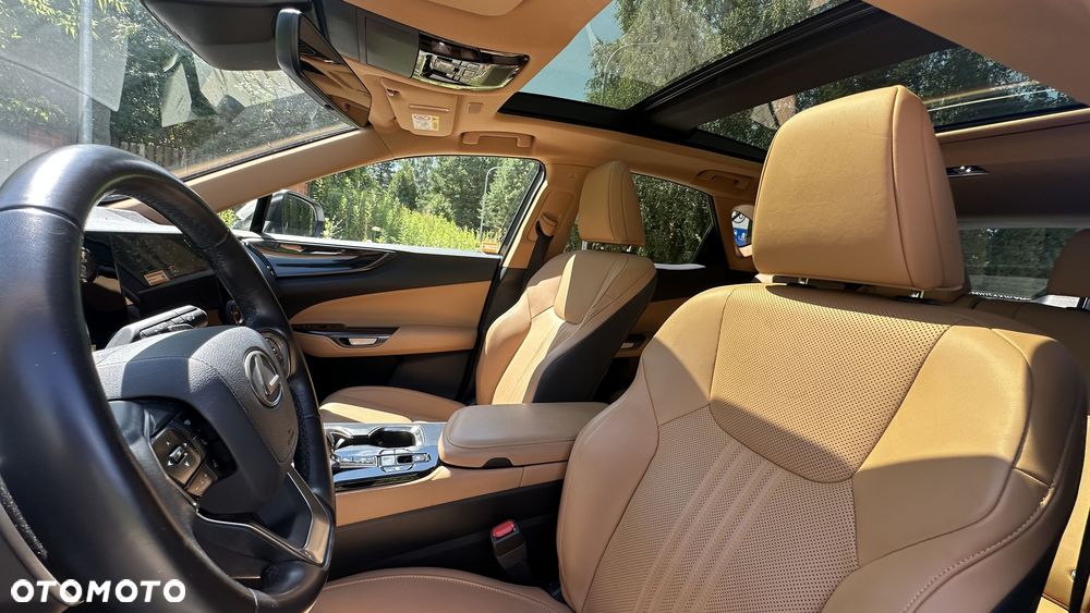 Lexus NX 350h Prestige AWD - 14
