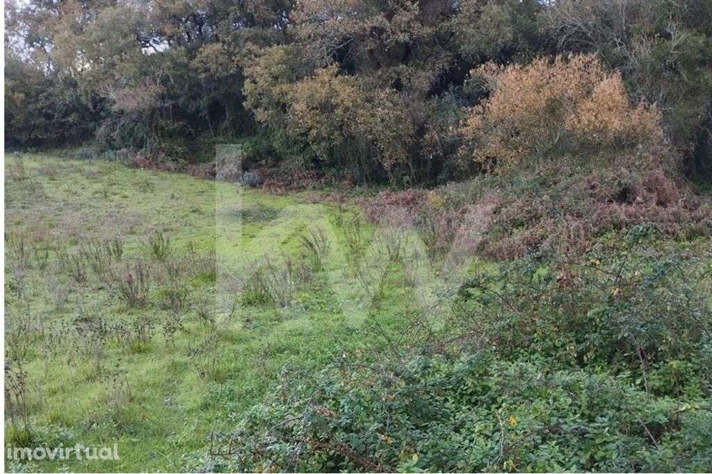 5.600 m2 - Terreno . Vende-se em PORTO MÓS - Grande imagem: 5/13