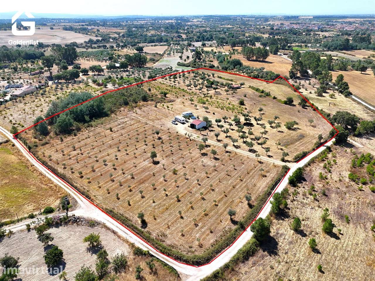 Quinta  Venda em Lardosa,Castelo Branco - Grande imagem: 3/55