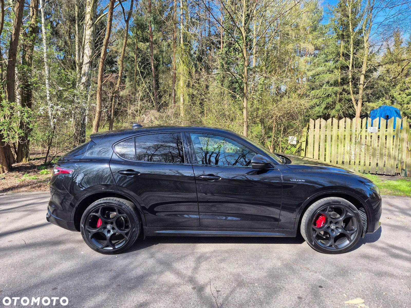 Alfa Romeo Stelvio 2.2 Diesel 16V AT8 Q4 Veloce Ti - 3