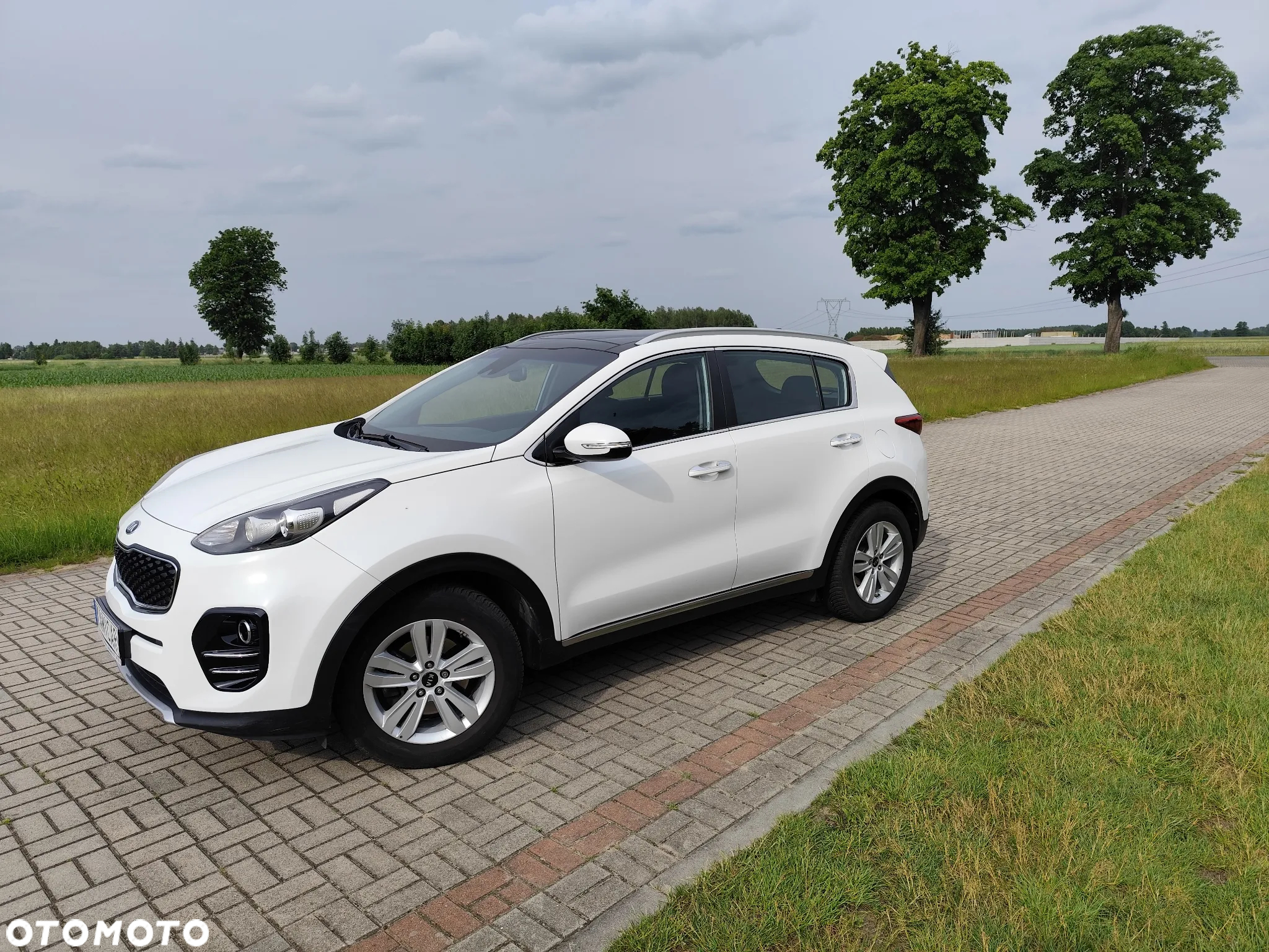 Kia Sportage - 30