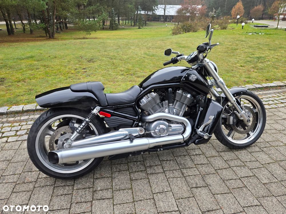 Harley-Davidson V-Rod Muscle - 8