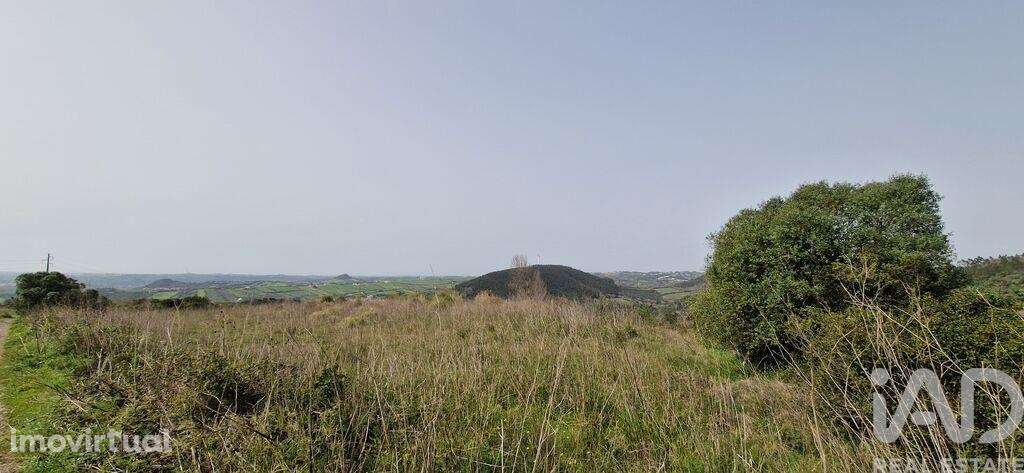 Terreno Agrícola em Mafra - Grande imagem: 3/21