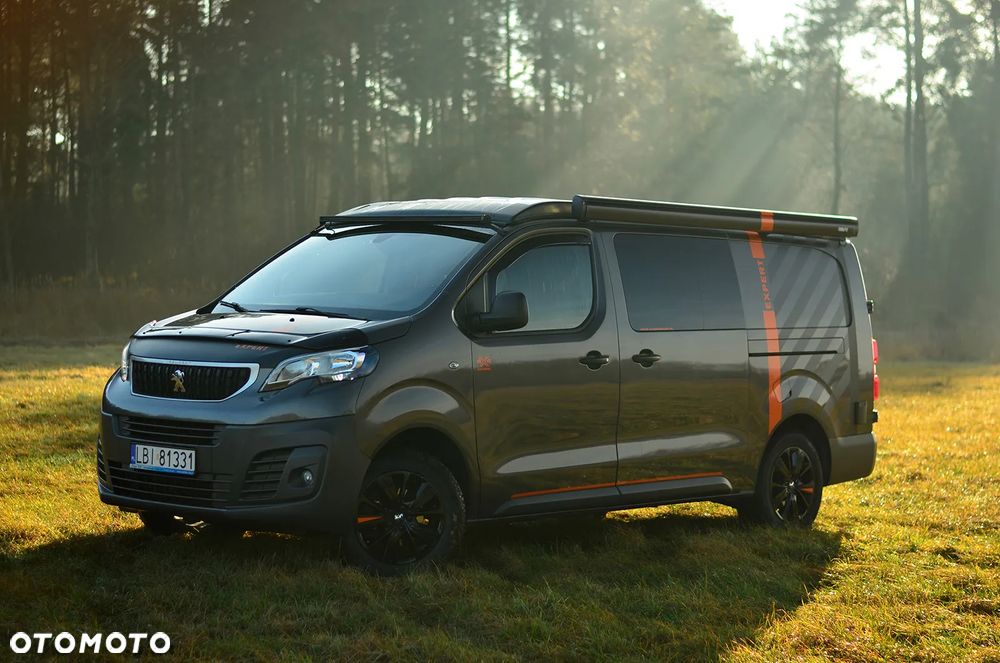 Peugeot Dangel Expert 4x4 - 5