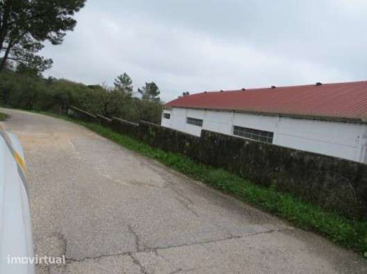 Terreno em Tomar - Grande imagem: 4/6