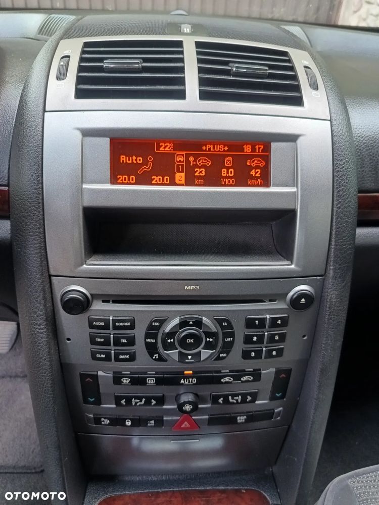 Peugeot 407 - 20