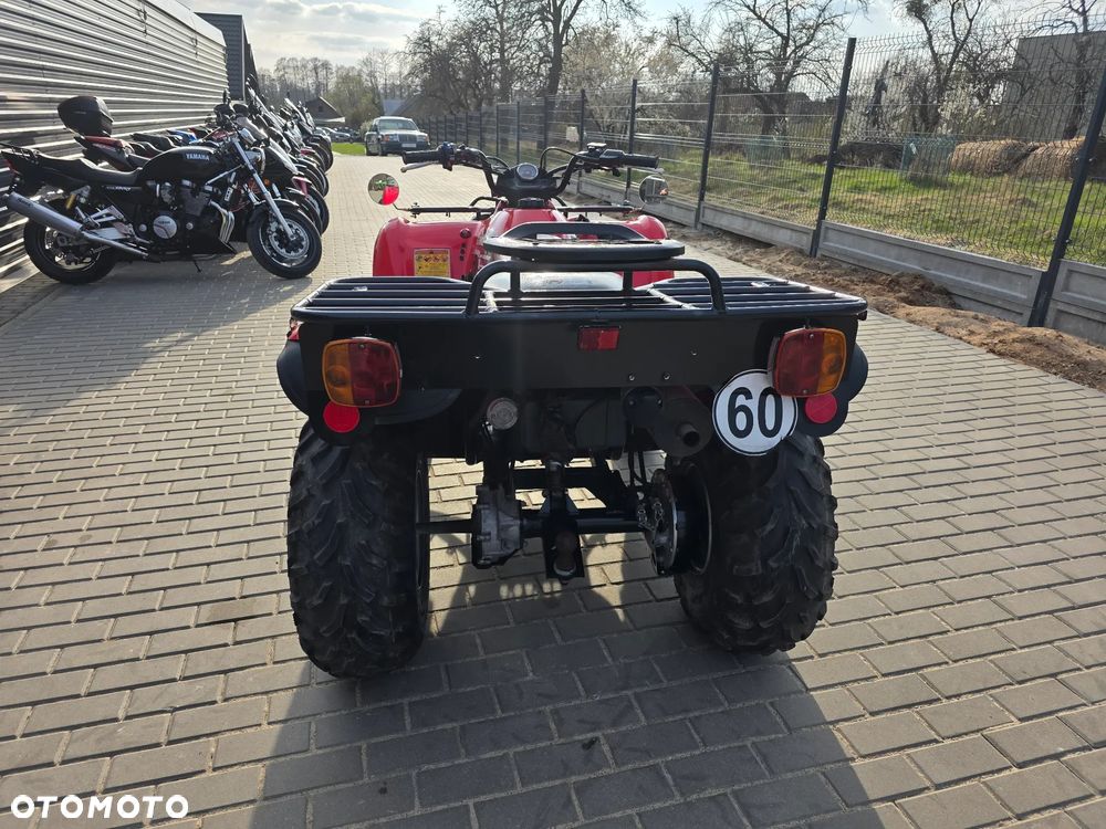 Kawasaki Brute Force - 18