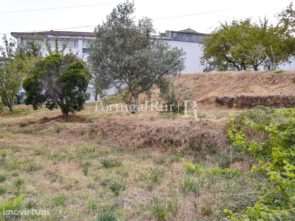 Lote na zona de Covilhã - Grande imagem: 4/13