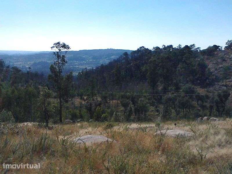 Terreno (13.283m2) com possibilidade de construção - Grande imagem: 3/5