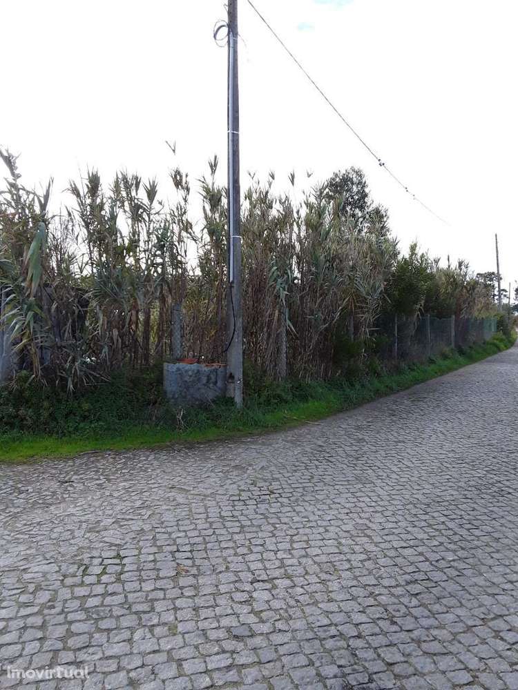 Terreno em Apúlia - Grande imagem: 5/6