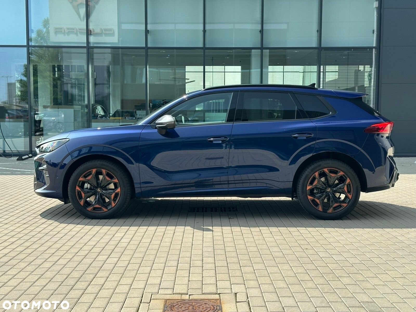 Cupra Terramar - 11
