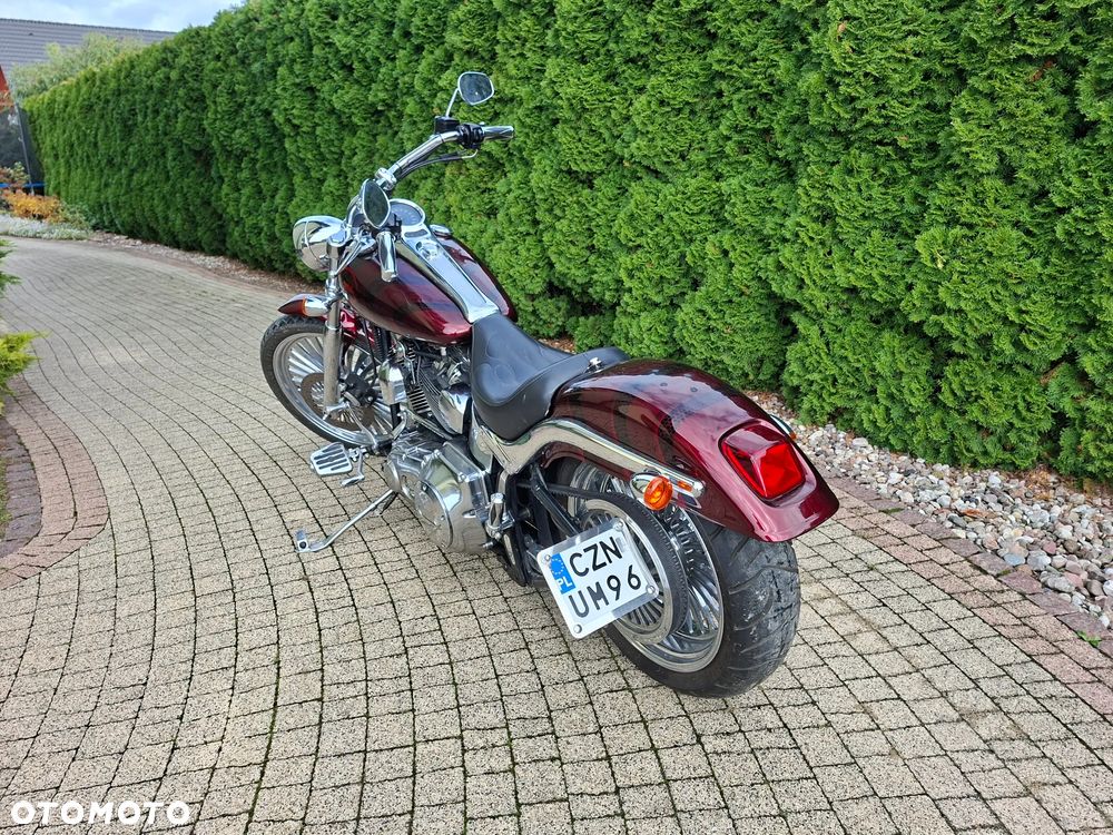 Harley-Davidson Softail - 14