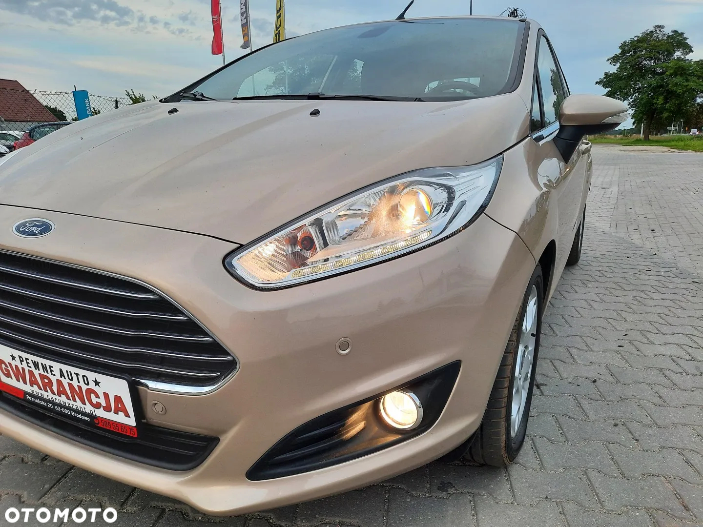 Ford Fiesta 1.0 EcoBoost Titanium EU6 MPS6 - 14