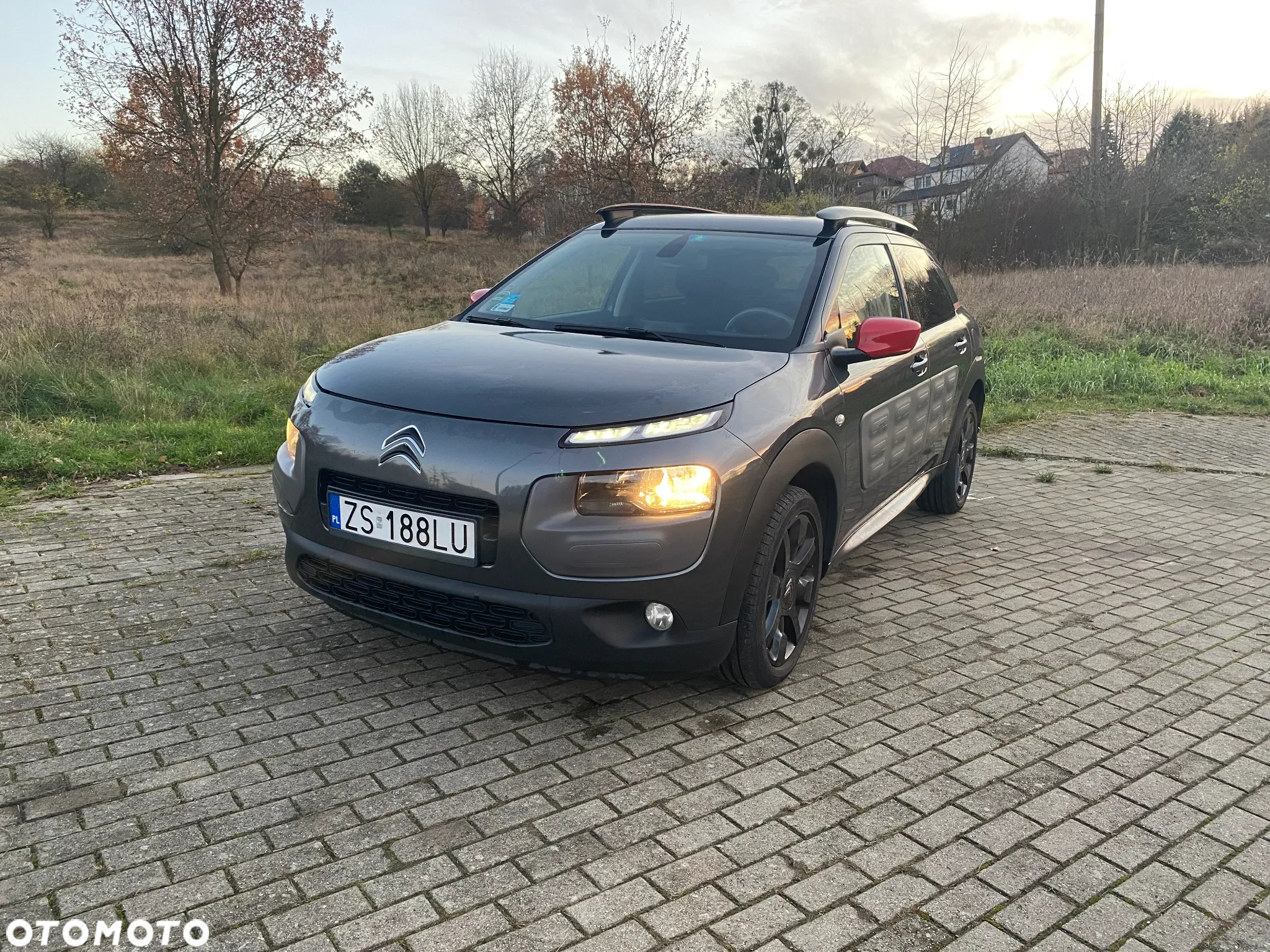 Citroën C4 Cactus 1.6 Blue HDi Shine - 4