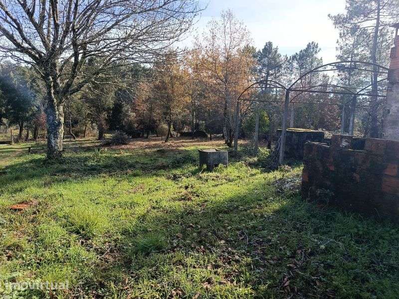 Vende-se quinta Cabeçudo, Sertã - Grande imagem: 4/12