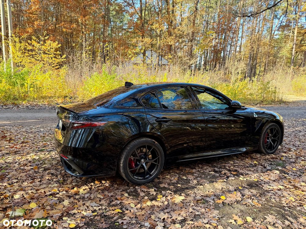 Alfa Romeo Giulia 2.9 V6 Bi-Turbo AT8 Quadrifoglio - 12