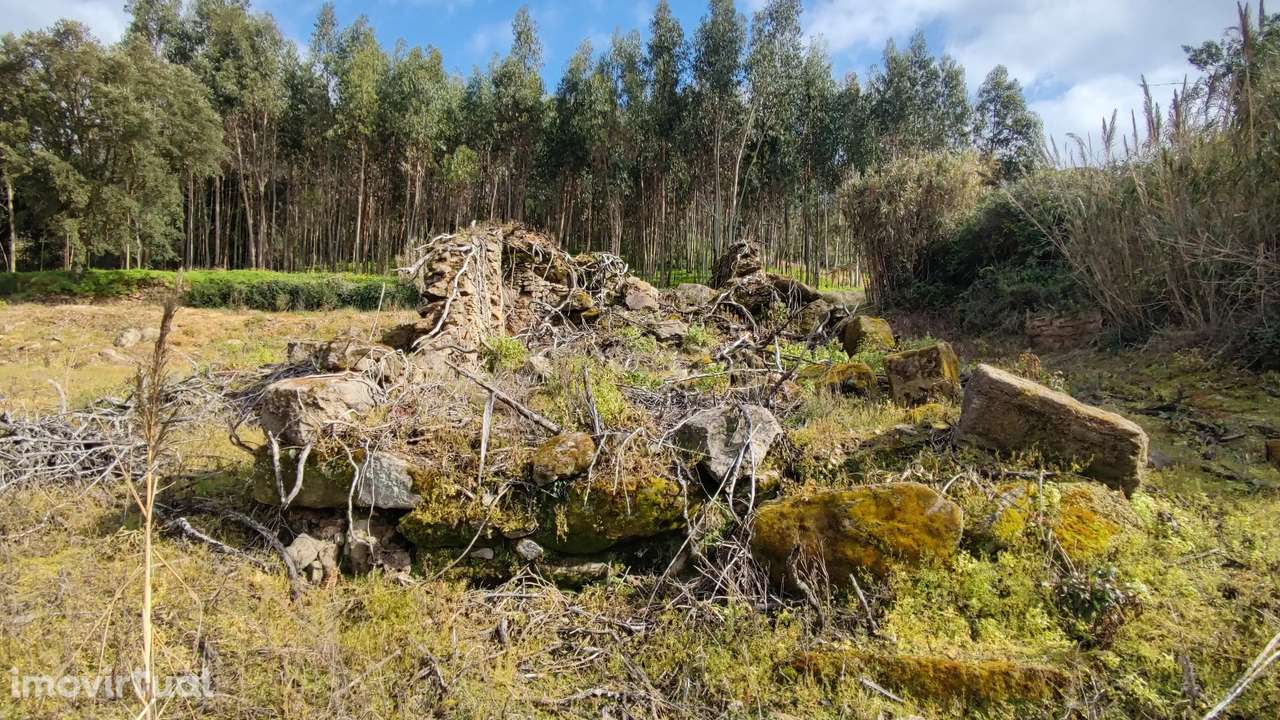 Terreno com ruina inserido no meio da Natureza - Grande imagem: 3/20