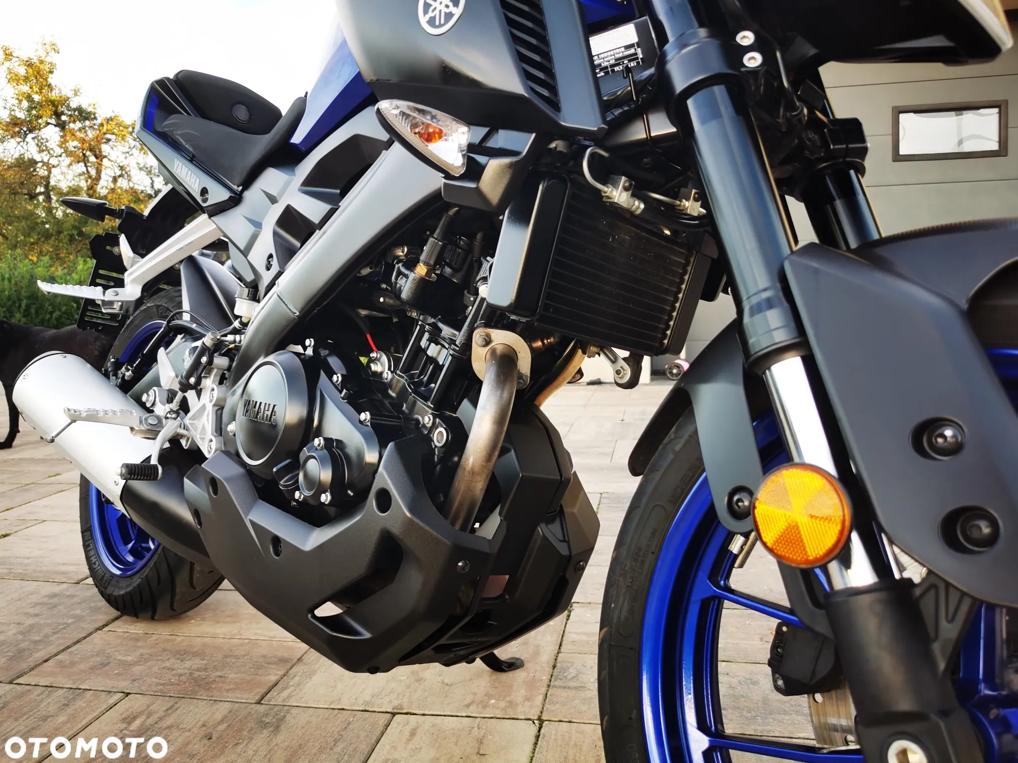 Yamaha MT - 24