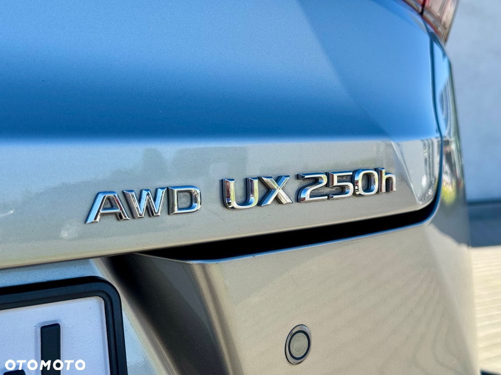 Lexus UX 250h GPF Prestige AWD - 25