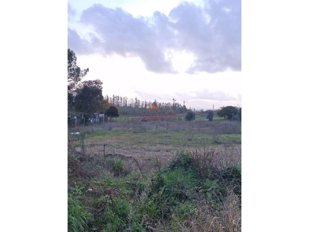 Terreno com construção, 30M de frente - Grande imagem: 5/9