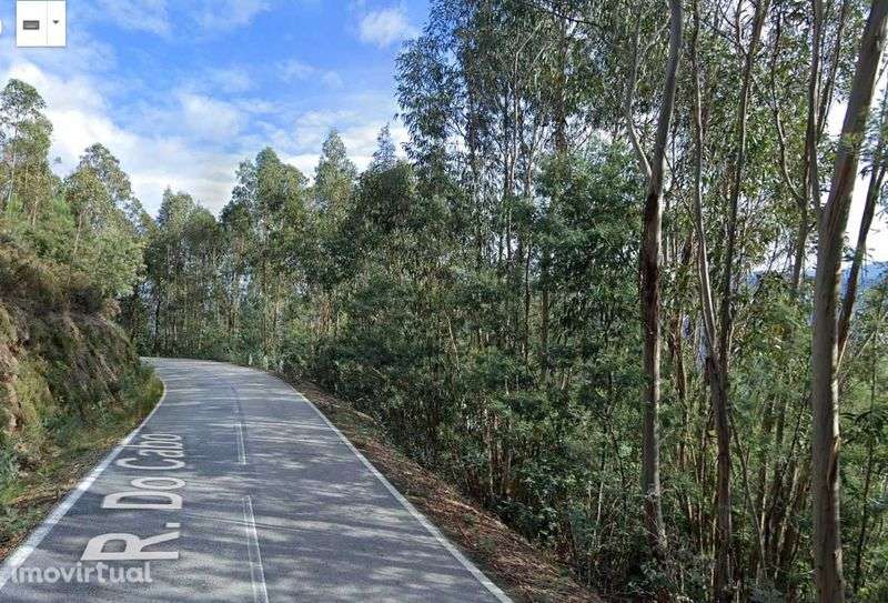 1,7 ha - Terreno rústico, em Arnóia, Celorico Basto - Grande imagem: 3/12