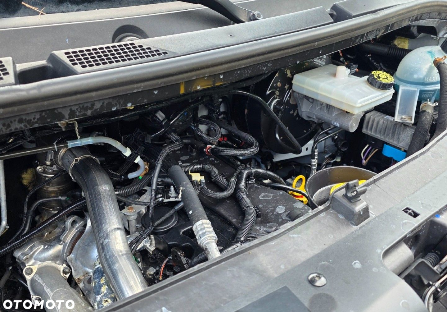 Renault Master - 24