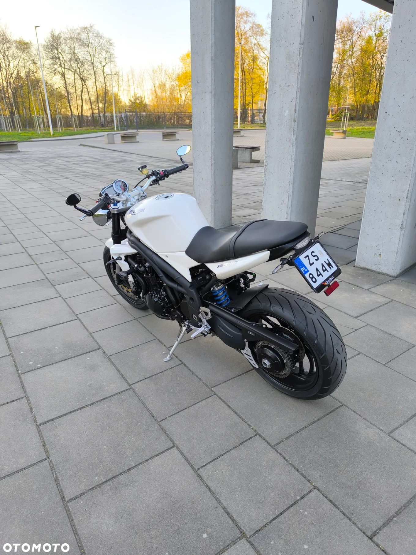 Triumph Speed Triple - 5