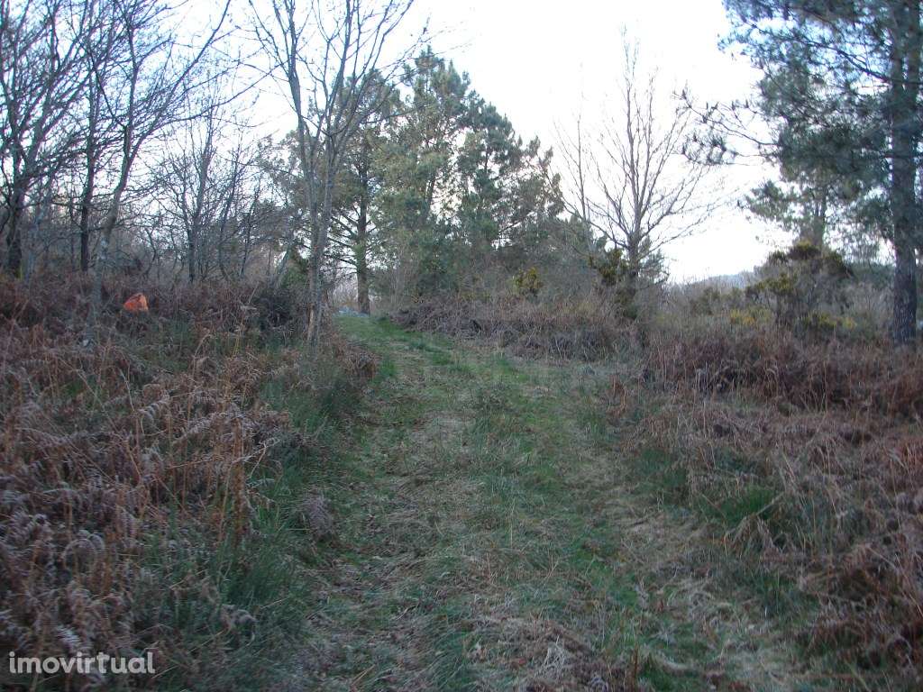 Monte em Paredes de Coura - Grande imagem: 4/6